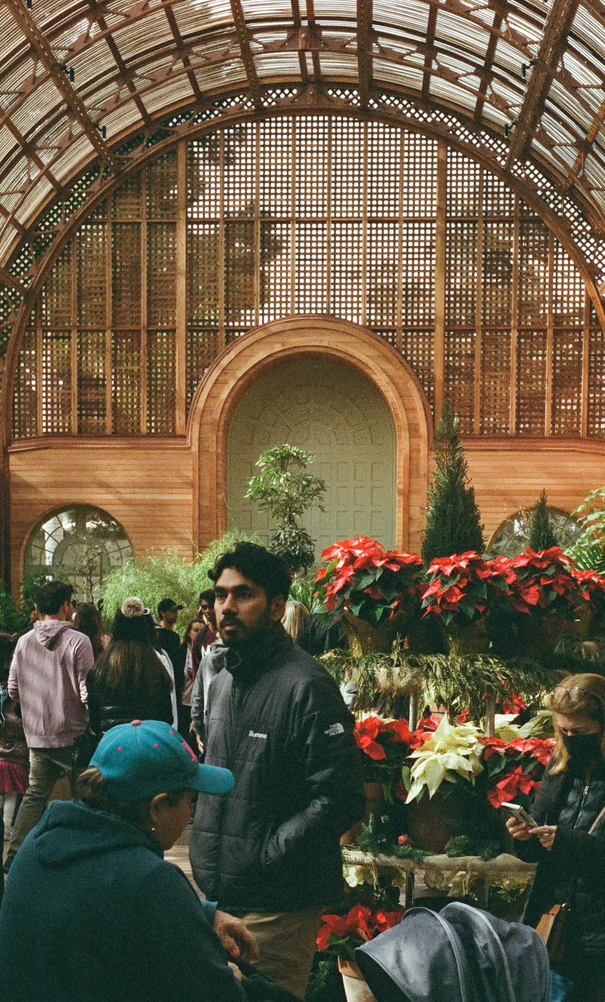 Inside a wooden lath conservatory, its arched slatted roof filling the upper half of the frame. A crowd moves between staged banks of red and white poinsettias; a man in a dark jacket stands still, looking past the camera.
