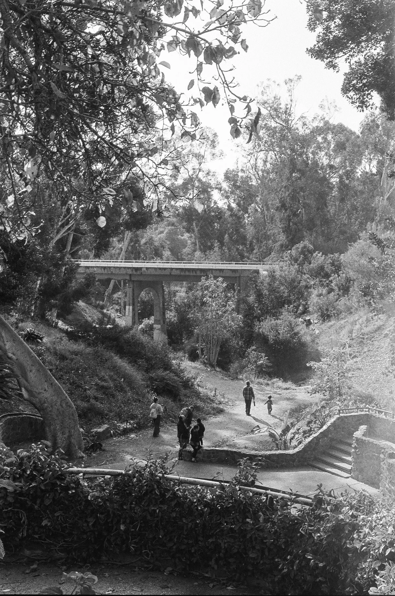 A black-and-white view down into a wooded canyon crossed by a concrete road bridge on tall piers. Several people are scattered along the footpath beneath it, and a stone stair with a balustrade climbs out of frame at the right.